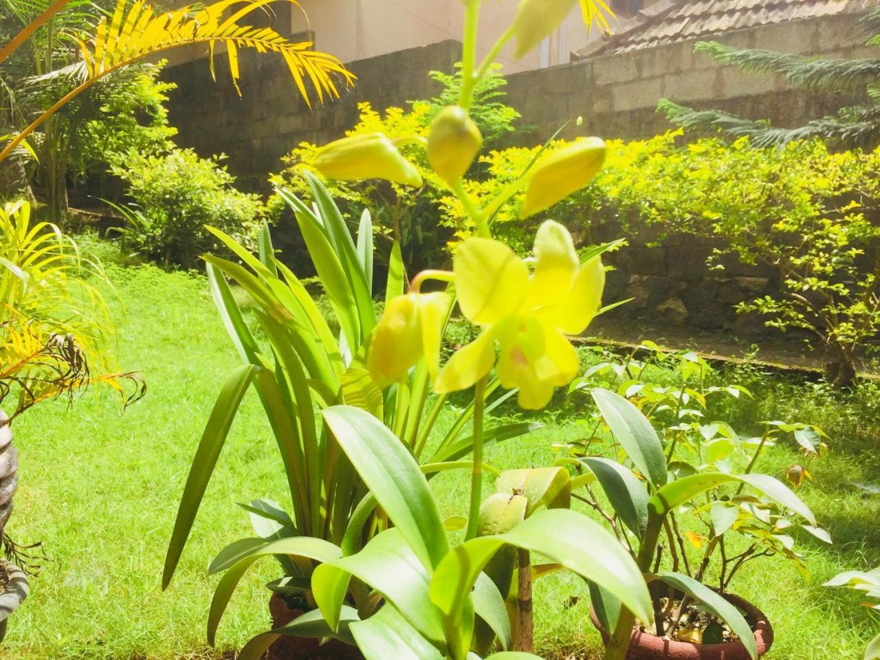 Ganesh House Homestay Kovalam Eksteriør billede